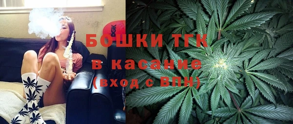 шишки Балабаново