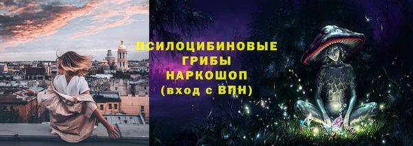 кокс Баксан